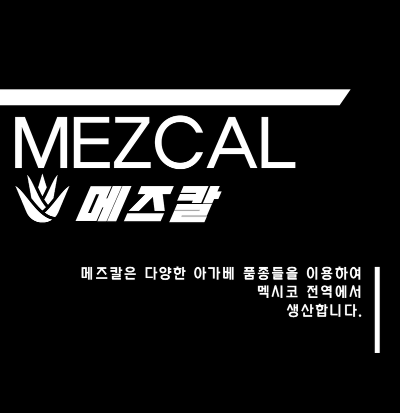 [ 메즈칼 ]